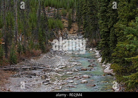 Fluss im Yoho National Park, British Columbia, Kanada Stockfoto