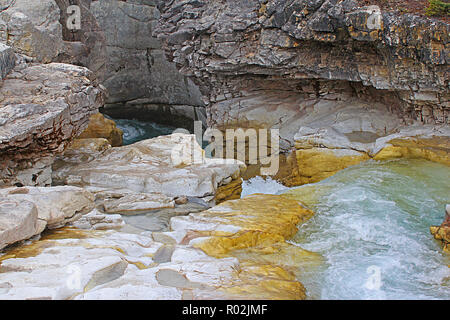 Fluss im Yoho National Park, British Columbia, Kanada Stockfoto