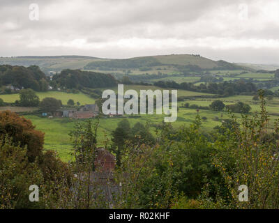 Shaftesbury Dorset wunderschöne grüne Landschaft Blick nach draußen vista Horizont bedeckt Natur, Dorset, England, Großbritannien Stockfoto