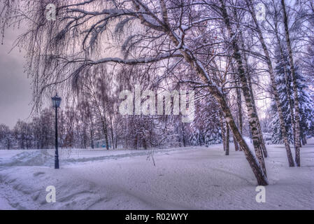 Winter verschneite Stadt Park Alley. Bäume mit Schnee bedeckt. Winter Park mit einsamen Laterne Stockfoto