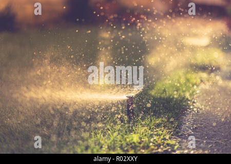 Modernes Gerät der Bewässerung Garten. Bewässerung - Technik der Bewässerung im Garten. Abstrakte lawn Sprinkler Sprühwasser über grüne Gras Stockfoto