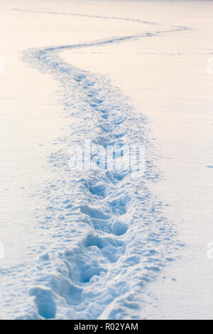 Footprints in tiefem Schnee auf einem Feld Stockfoto