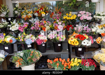 Blumensträuße Blumen für den Verkauf außerhalb einer traditionellen Ecke Lebensmittelgeschäft in Dunbar, Vancouver, BC, Kanada Stockfoto