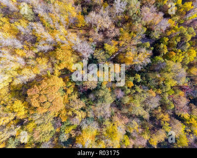 Herbst Wald von oben. Landschaft. Stockfoto