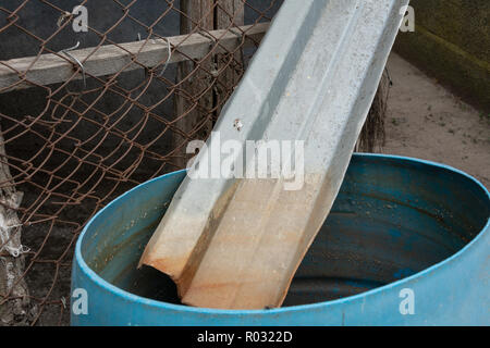 Ernte von Regenwasser in einem Bauernhaus. Frisches Wasser Mangel in der ländlichen Region der Ukraine. Stockfoto