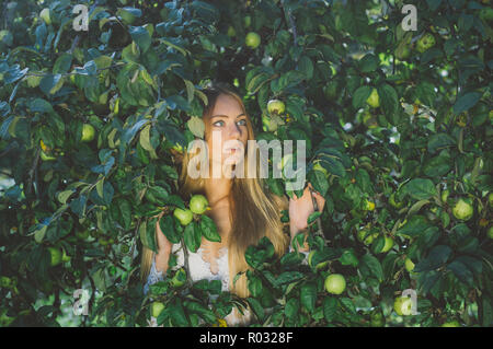 Portrait der junge schöne Mädchen in weißen Spitzenkleid in Apple, Garten, in der Baumkrone Stockfoto