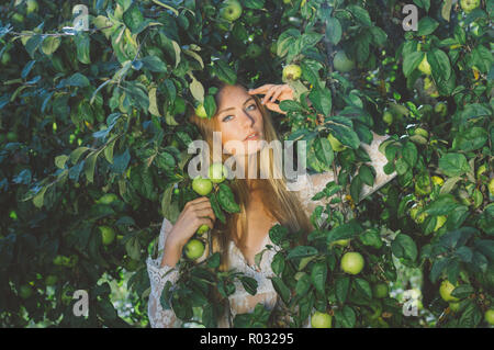 Portrait der junge schöne Mädchen in weißen Spitzenkleid in Apple, Garten, in der Baumkrone Stockfoto