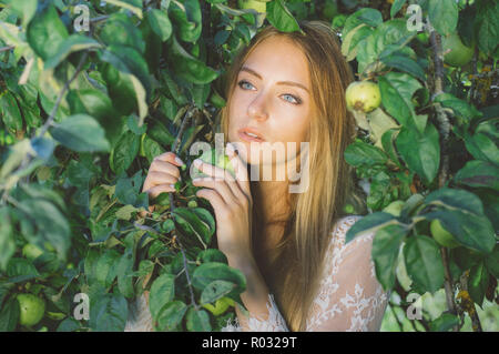 Portrait der junge schöne Mädchen in weißen Spitzenkleid in Apple, Garten, in der Krone Stockfoto