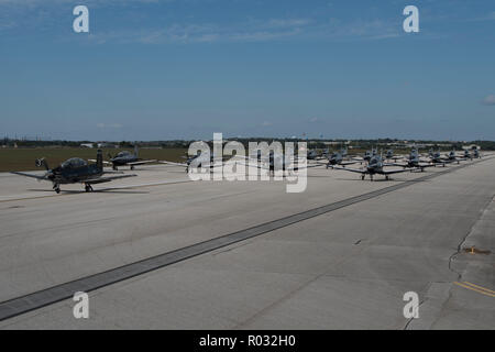 T-6 Texan IIs aus der Flugausbildung 559th Squadron und der 39 FTS nahm an einem "Elephant Walk" Oktober 26, 2018, Joint Base San Antonio-Randolph, Texas. Ein Elephant Walk ist allgemein als "Erscheinen der Kraft, "aber die Staffeln hier genannt in Verbindung mit ihrem Erbe zu erhalten. Die übung war eine so genannte "Ziege Trab/Schlange Slither" als 559Th sind die Kämpfe Billy Ziegen und das 39 sind die KOBRAS. Stockfoto