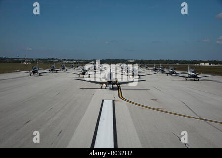 T-6 Texan IIs aus der Flugausbildung 559th Squadron und der 39 FTS nahm an einem "Elephant Walk" Oktober 26, 2018, Joint Base San Antonio-Randolph, Texas. Ein Elephant Walk ist allgemein als "Erscheinen der Kraft, "aber die Staffeln hier genannt in Verbindung mit ihrem Erbe zu erhalten. Die übung war eine so genannte "Ziege Trab/Schlange Slither" als 559Th sind die Kämpfe Billy Ziegen und das 39 sind die KOBRAS. Stockfoto