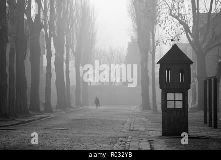 KZ Auschwitz, Polen Stockfoto