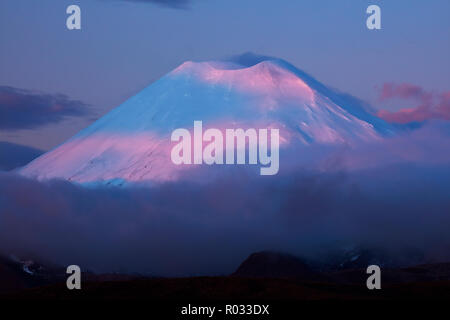 Alpenglühen auf Mt Ngauruhoe bei Sonnenuntergang, Tongariro National Park, Central Plateau, North Island, Neuseeland Stockfoto