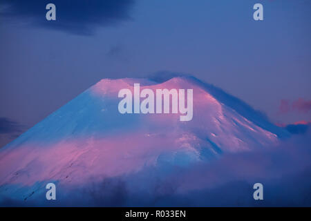 Alpenglühen auf Mt Ngauruhoe bei Sonnenuntergang, Tongariro National Park, Central Plateau, North Island, Neuseeland Stockfoto