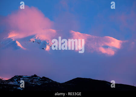 Alpenglühen auf Mt Ruapehu in der Dämmerung, Tongariro National Park, Central Plateau, North Island, Neuseeland Stockfoto