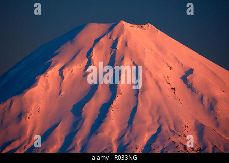 Alpenglühen auf Mt Ngauruhoe in der Morgendämmerung, Tongariro National Park, Central Plateau, North Island, Neuseeland Stockfoto