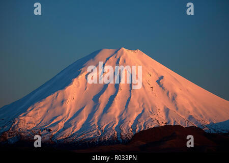 Alpenglühen auf Mt Ngauruhoe in der Morgendämmerung, Tongariro National Park, Central Plateau, North Island, Neuseeland Stockfoto