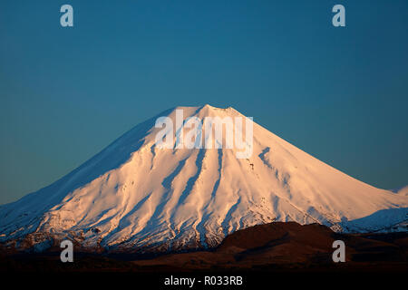 Erstes Licht auf Mt Ngauruhoe, Tongariro National Park, Central Plateau, North Island, Neuseeland Stockfoto