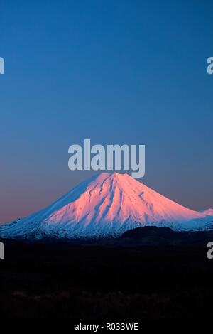 Alpenglühen auf Mt Ngauruhoe in der Morgendämmerung, Tongariro National Park, Central Plateau, North Island, Neuseeland Stockfoto