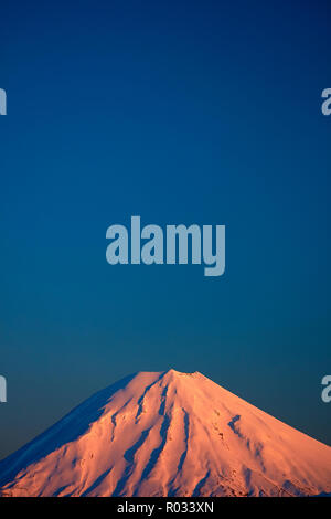 Alpenglühen auf Mt Ngauruhoe in der Morgendämmerung, Tongariro National Park, Central Plateau, North Island, Neuseeland Stockfoto