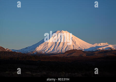 Erstes Licht auf Mt Ngauruhoe, Tongariro National Park, Central Plateau, North Island, Neuseeland Stockfoto