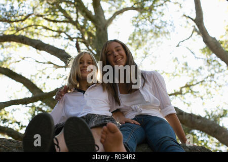 Bruder und Schwester sitzen im Baum Stockfoto