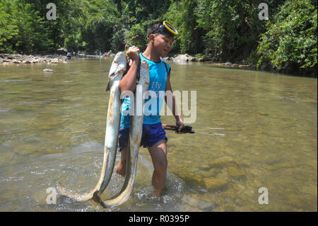 Kiulu, Sabah, Malaysia - 18 Aug, 2018: Mann zeigt riesigen süsswasser Aal oder lokal als insilog' Während der Fisch Erntesaison bekannt, Tuaran River. Stockfoto