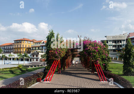 Die üppige Landschaft des "Parque V Centenario" am Eingang des Alten Panama City Nachbarschaft. Die alte Stadt, Gebäude können in der Ferne gesehen werden. Stockfoto