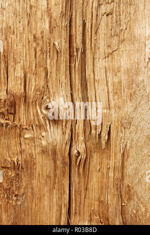 Aufbau eines neuen Holz- gebrochen mit einem Knoten und Jahresringe anmelden Stockfoto