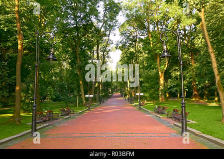 Gepflasterte Park Alley früh am Morgen in der Nähe der Nationalen Universität in Lemberg, Ukraine Stockfoto