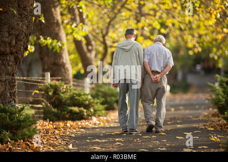 Zwei ältere Männer, die eine Diskussion beim gehen Seite an Seite durch einen Park. Stockfoto