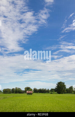Kleine Hütte auf dem Reisfeld in der Provinz Sukhothai, Thailand. Stockfoto