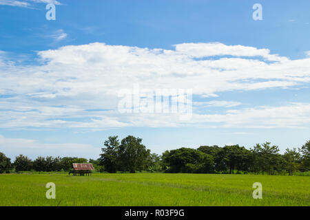 Kleine Hütte auf dem Reisfeld in der Provinz Sukhothai, Thailand. Stockfoto