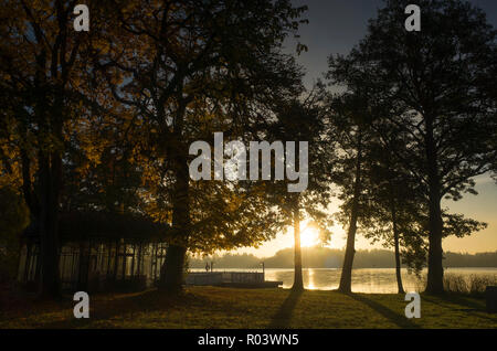 Schönen Sonnenaufgang im Herbst morgen in Katrineholm, Schweden Skandinavien. See, Wald und schönen Himmel. Ruhige, friedliche und freudige Hintergrundbild. Stockfoto