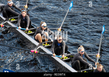 Dies ist die jährliche rudern Rennen auf dem Charles River in Boston. Stockfoto