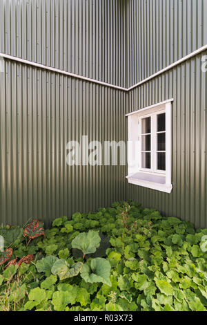 Detail der authentischen Isländischen Wohnhaus in Seydisfjördur. Grün Metall überzogen Haus Ecke mit Fenster, vertikale Ausrichtung. Stockfoto