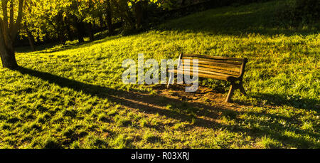 Alte Holzbank in einem Park am späten Nachmittag Stockfoto