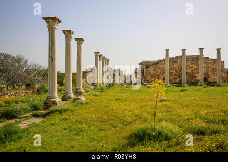Famagusta, Türkische Republik Nordzypern, Zypern - Salami, archäologische Ausgrabungsstätte Stockfoto