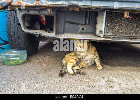 Ein Auto entspannen unter ein Auto bei starken Winden auf Madeira - Portugal Stockfoto