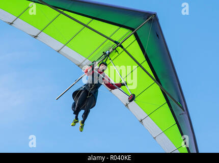 Man Drachenfliegen im Herbst mit blauem Himmel, auf der Suche nach einem Platz auf der South Downs in East Sussex, England, UK zu landen. Stockfoto