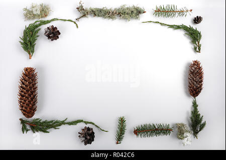 Kiefernzapfen und Kegel mit Glitzer Fichte. Juniper Zweige, Fichten Zweigen, und Stücke von Flechten. Natürliche Objekte arrangiert ein Weihnachten Rahmen zu machen. Hori Stockfoto