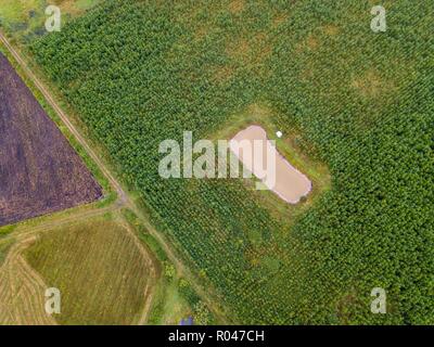 Kleinen Teich und Camping auf Felder. Von oben nach unten drone Landschaft. Stockfoto