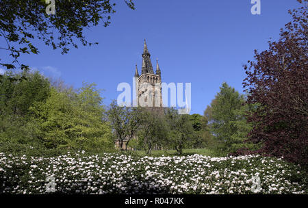 Der Glockenturm und die Turmspitze der Glasgow University zeichnet sich vor den Bäumen im Kelvingrove Park in Glasgow, wo die Universität liegt. Stockfoto