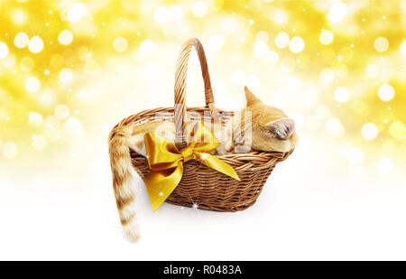 Gruß oder Geschenkkarte, Ginger cat inside Weidenkorb mit goldenen Schleife, auf Weihnachten hell gold lights Hintergrund isoliert Stockfoto