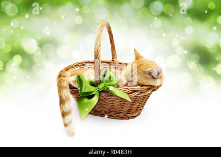 Gruß oder Geschenkkarte, Ginger cat inside Weidenkorb mit grüner schleife, auf Weihnachten Lichter Hintergrund isoliert Stockfoto