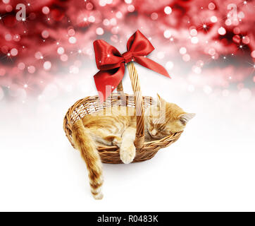 Gruß oder Geschenkkarte, Ginger cat inside Weidenkorb mit roter Schleife, auf Weihnachten Lichter Hintergrund isoliert Stockfoto