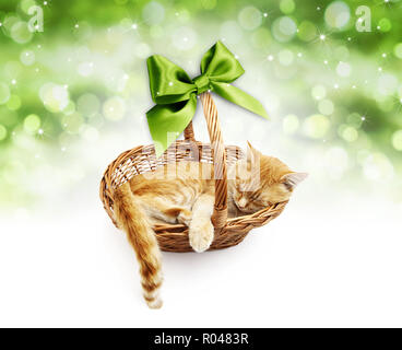 Gruß oder Geschenkkarte, Ginger cat inside Weidenkorb mit grüner schleife, auf Weihnachten Lichter Hintergrund isoliert Stockfoto