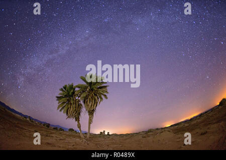 Nacht in der Wüste. South Sinai. Ägypten Stockfoto