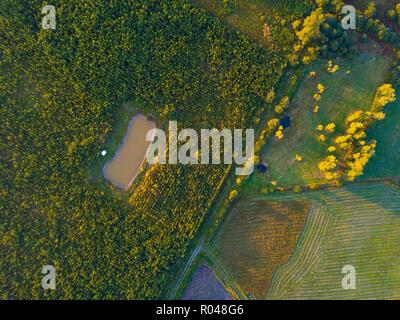 Kleinen Teich und Camping auf Felder. Von oben nach unten drone Landschaft. Stockfoto