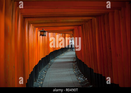 Kyoto, Japan, Torii Pfad zu Fushimi Inari-Taisha Stockfoto