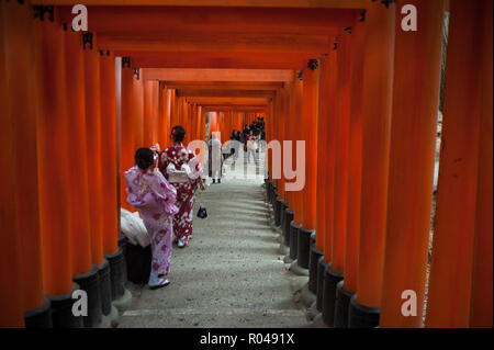 Kyoto, Japan, Torii Pfad zu Fushimi Inari-Taisha Stockfoto